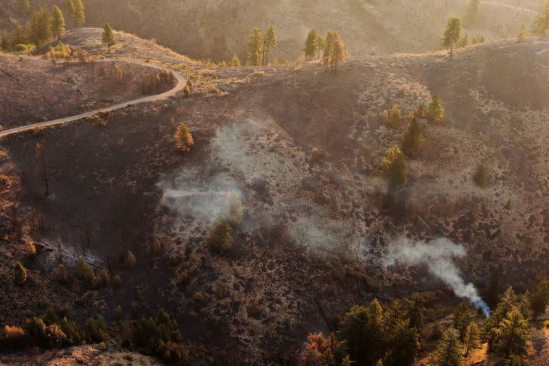 Fire damage from the Red Apple Fire near Wenatchee