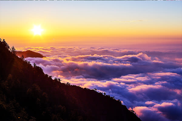 大雪山雲海美景。（圖片來源／林務局）