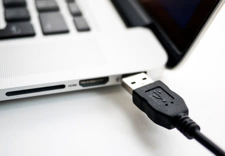 FILE PHOTO: A photo illustration shows a USB device being plugged into a laptop computer in Berlin July 31, 2014. REUTERS/Thomas Peter/File Photo