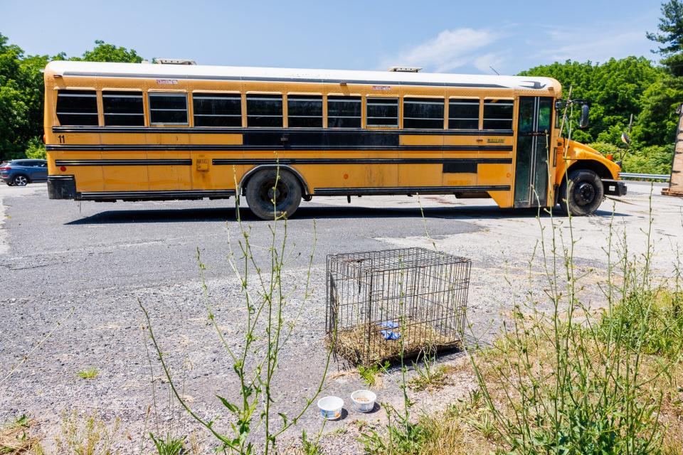 An animal cage is seen near a bus on the side of the road along Hanover Road after Adams County SPCA officials removed more than 30 animals from horrific conditions inside, Monday, June 17, 2024, in Oxford Township.
