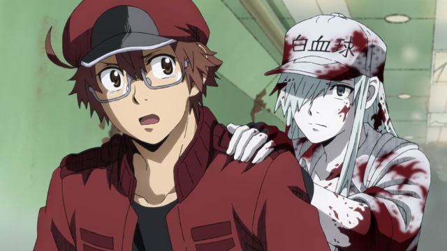 Cells at Work Returns! Why Having Two Different Cells at Work