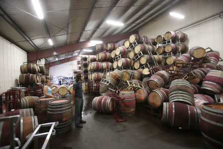 Andrew Brooks (C), associate winemaker of Bouchaine Vineyards, surveys fallen wine barrels after a 6.0 earthquake in Napa, California August 24, 2014. REUTERS/Stephen Lam