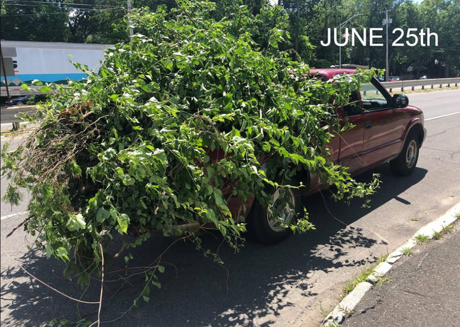 The driver was fined a second time for having an unsecured load, as well as obstructed tail lights and obstructed plate. Source: Chicopee Police Department / Facebook