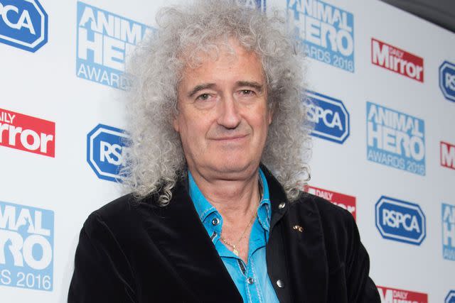 Dave J Hogan/Getty Brian May photographed in 2016