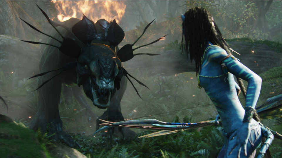 Zoe Saldana's Neytiri face-to-face with one of Pandora's inhabitants. (Credit: 20th Century Fox)