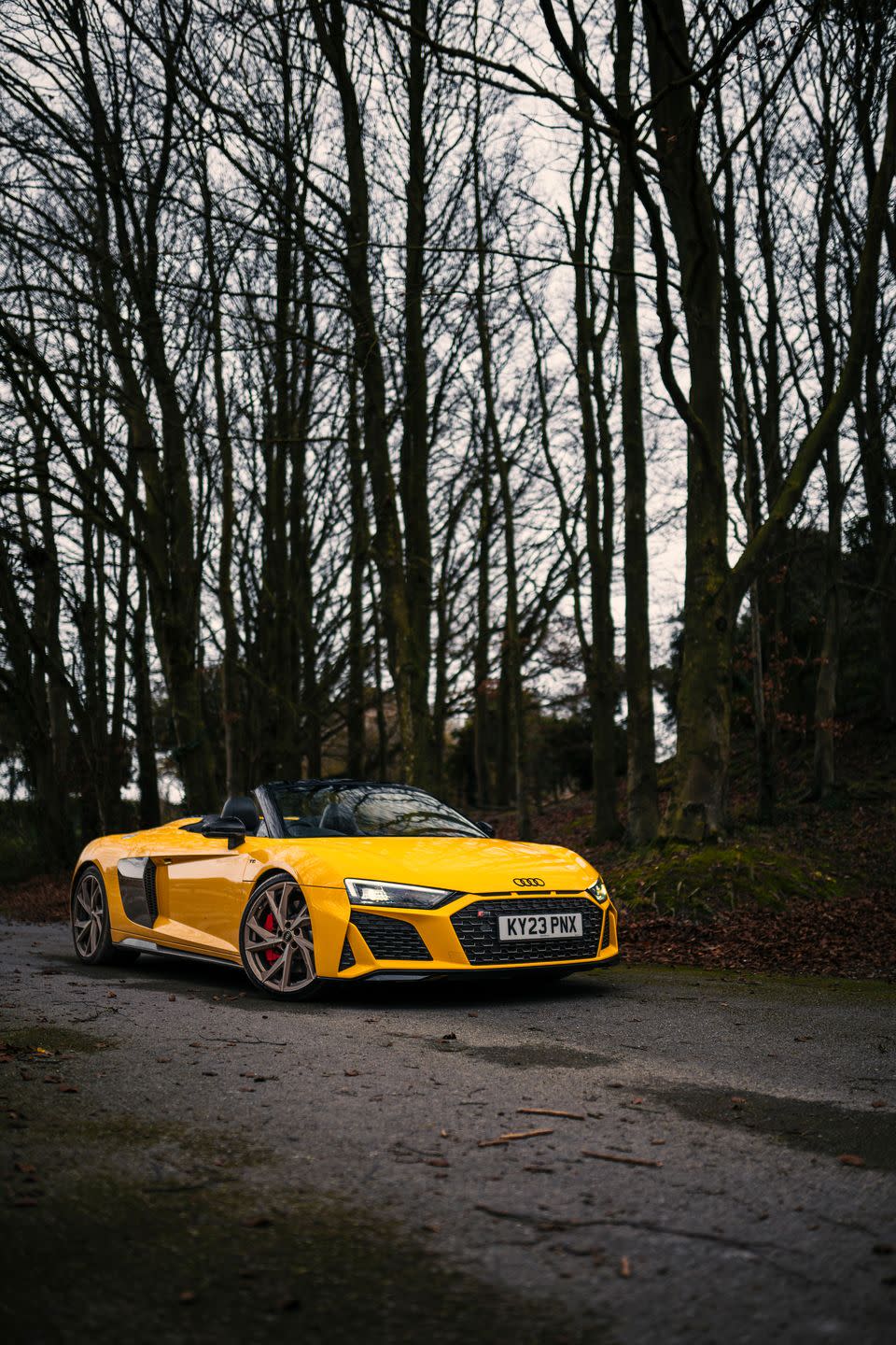 2023 audi r8 spyder