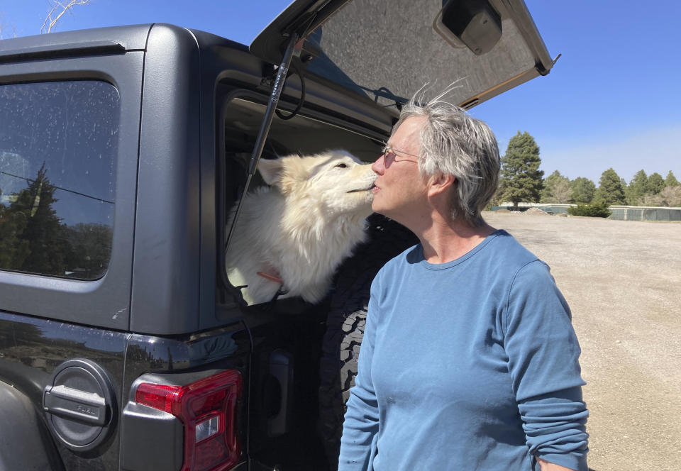 Lily, a German shepherd hybrid, gives her owner, Lisa Wells, a kiss as they wait for family in the parking lot on the outskirts of Flagstaff, Ariz., on Wednesday, April 20, 2022. Wells and her family evacuated because of a wildfire that destroyed their home. (AP Photo/Felicia Fonseca)