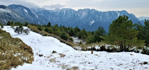 Snow-covered Linzhishan trail (Courtesy of 郭清祥）