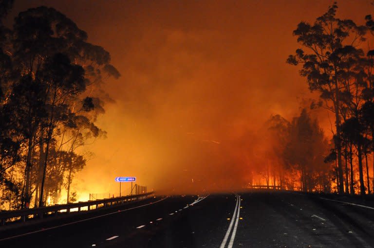 Photo taken on January 8, 2013 and provided by NSW Rural Fire Service shows trees burning along the Princes Highway in the Shoalhaven area in New South Wales. The Australian wildfires began earlier this month in Tasmania, where more than 100 homes were razed