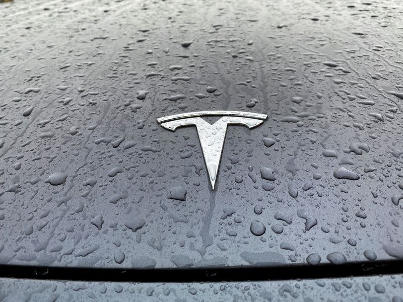 FILE PHOTO: A view shows the Tesla logo on the hood of a car in Oslo