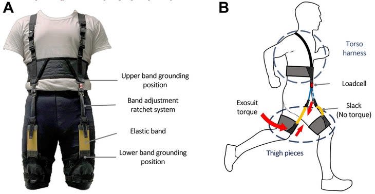 (Photo: <i>Journal of NeuroEngineering and Rehabilitation</i>)