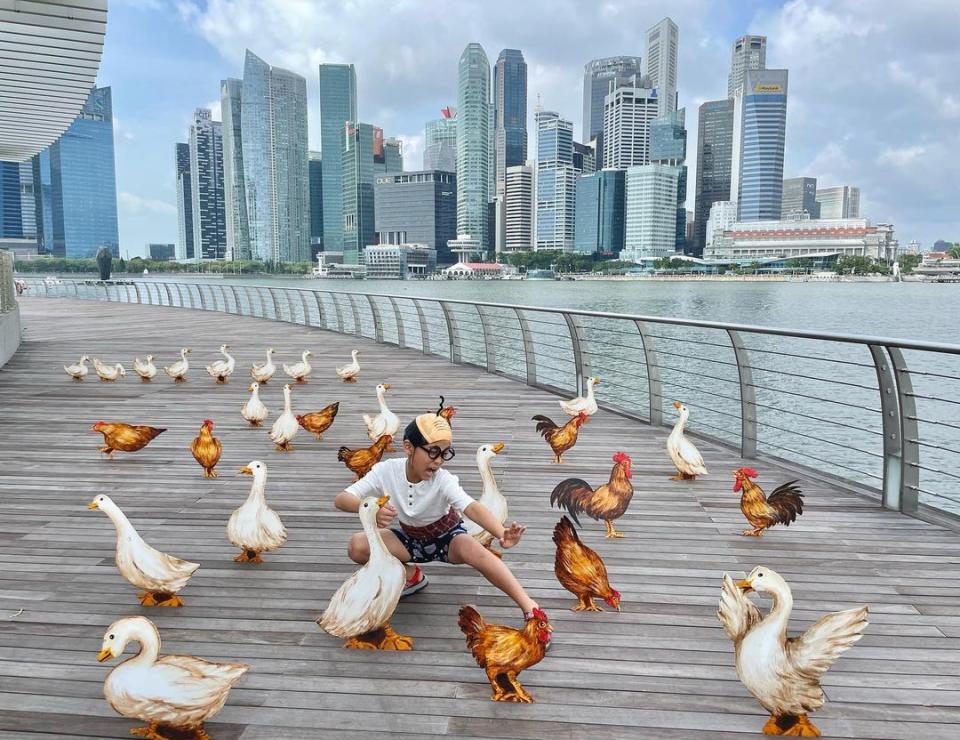 Farm installation. PHOTO: Yip Yew Chong