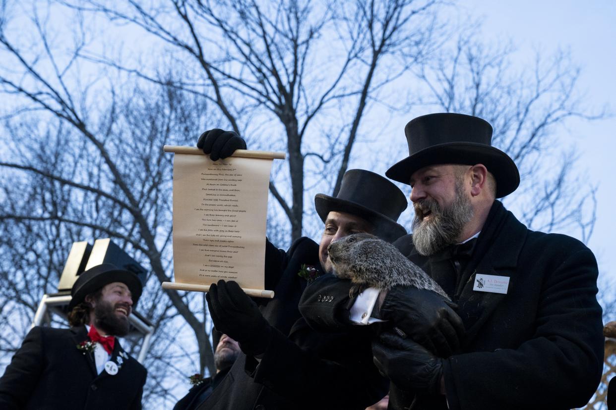 Image: Punxsutawney Phil Looks For His Shadow In Annual Groundhog Day Tradition (Michael Swensen / Getty Images)