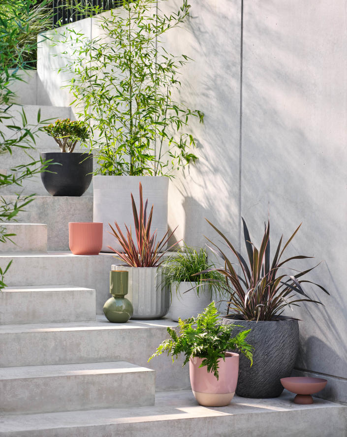 <p> Of course, containers aren&apos;t strictly reserved for the flat parts of your plot &#x2013; they&apos;re a fabulous way to liven up stone garden steps. </p> <p> We love how this contemporary collection draws the eye with its variety of textural foliage. If you want to recreate the look, just make sure to push them to one side, and remember they&apos;re there come nightfall to avoid tripping over any in the dark. </p>