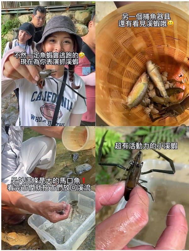 南投埔里｜桃米魚蝦生態探索