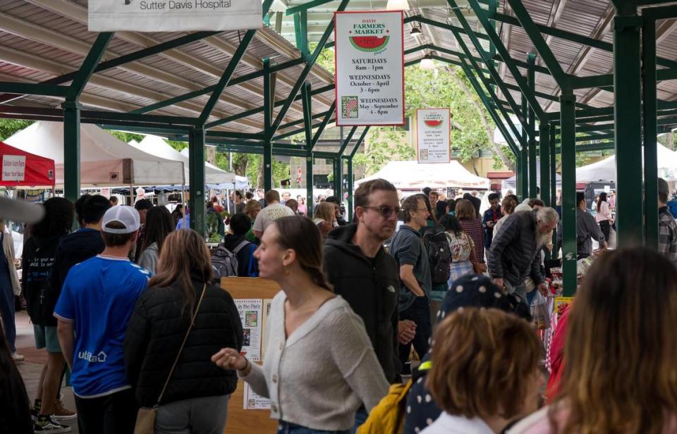 Davis community members spend time at the Davis Farmers Market on Saturday, May 6, 2023, in Central Park. The market was closed Wednesday as a series of stabbings rattled the college town.