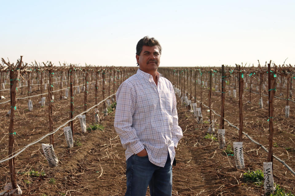 Humberto Guzman, 52, is a ranch manager at Coelho West Farms in Five Points, Calif. His future in the industry is uncertain, as his bosses are frustrated with the drought situation.
 (Edwin Flores / NBC News)