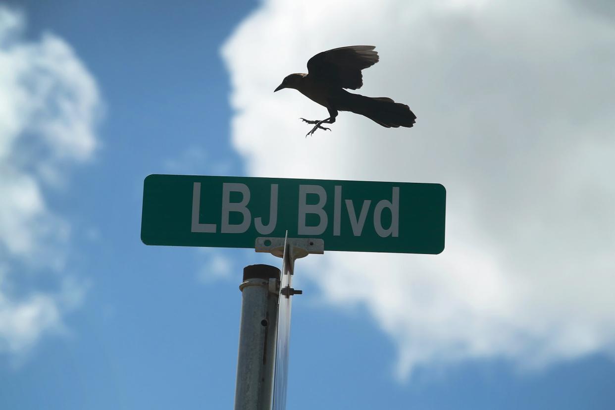A grackle flies over a sign for LBJ Blvd in Texas