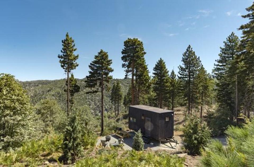 Tiny house cabin in the woods