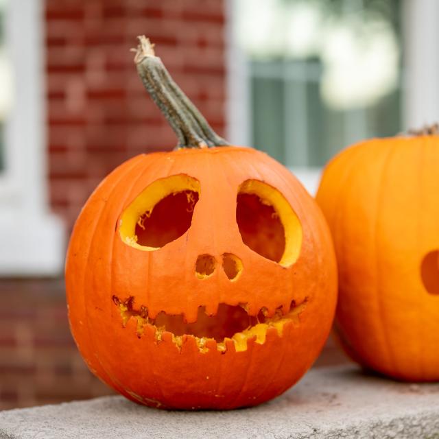 30+ Free Stencils That Will Take Your Pumpkin Carving To The Next Level