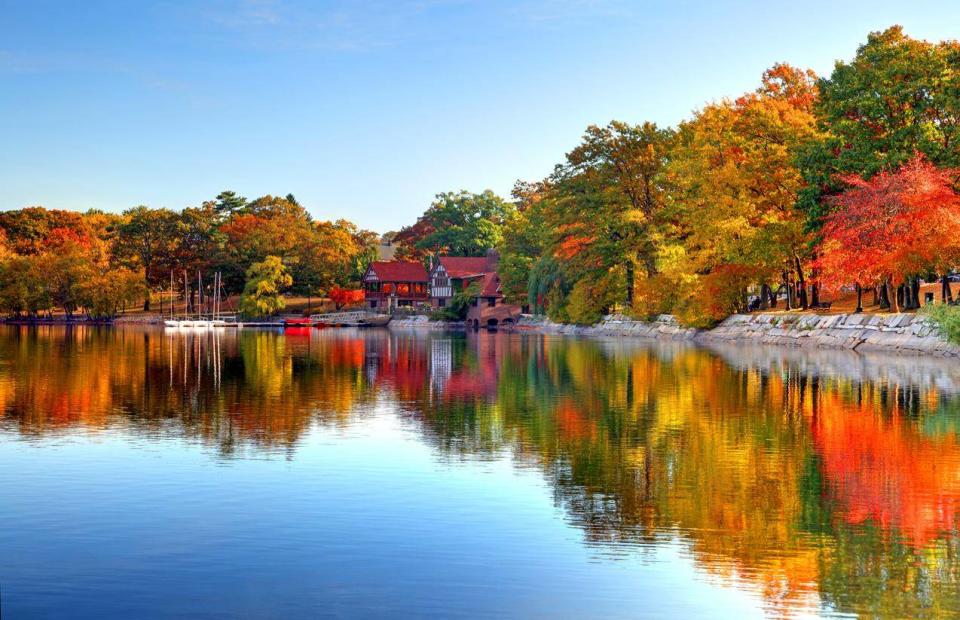 Head out on a Boston leaf peeping excursion (Getty Images/iStockphoto)