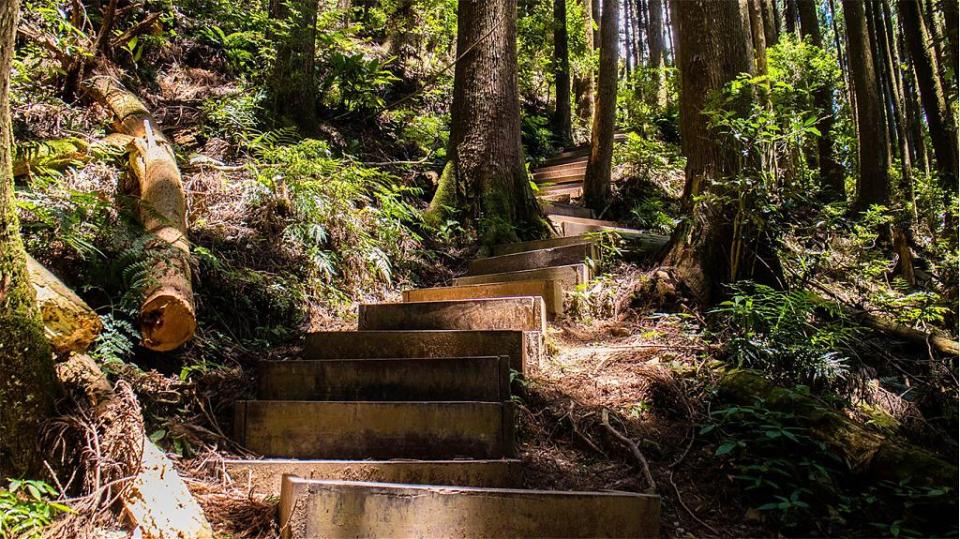 ▲苗栗加里山登山步道。 （圖／Tripbaa趣吧！自由行專家）