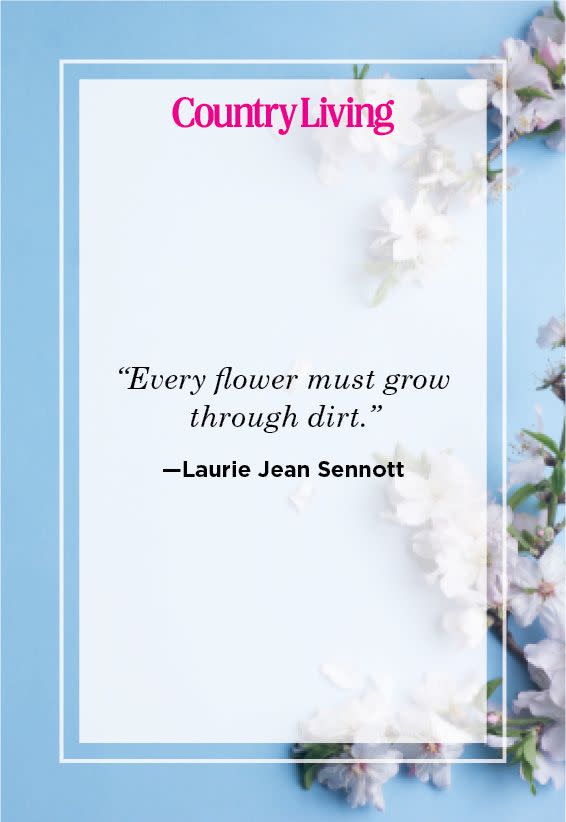 Lift Your Mood with These Inspiring Quotes about Flowers