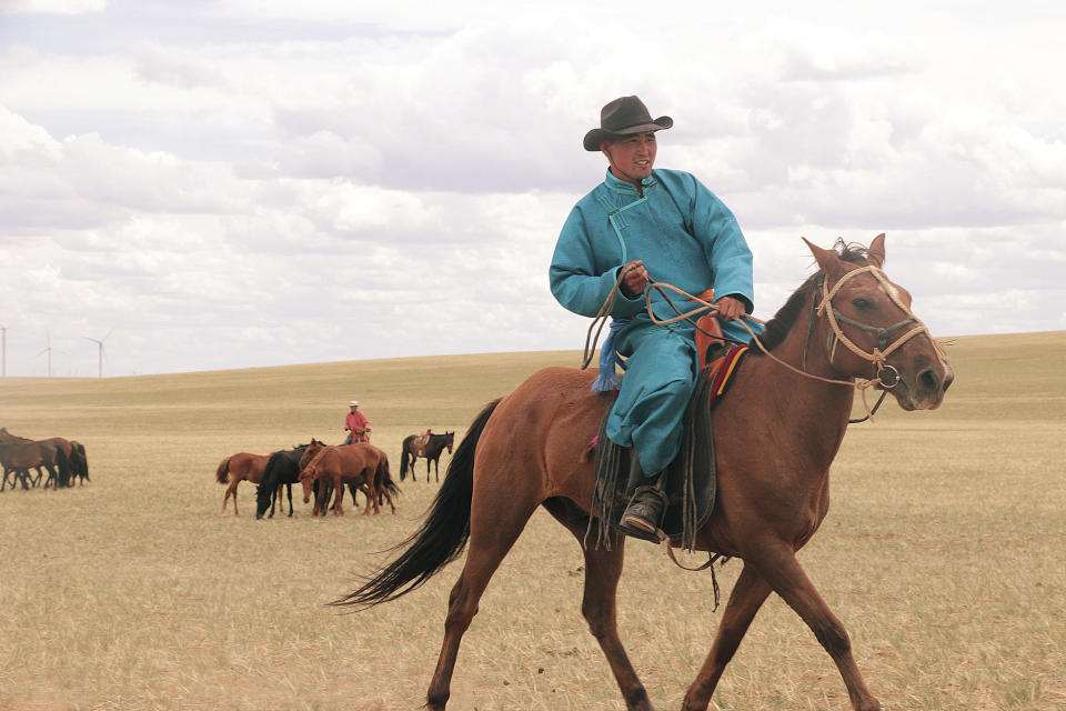 Herders guide horses on an open plain in Inner Mongolia, China, July 2019. Scientists analyzed ancient horse genomes to calculate dates for the domestication of the modern horse -- 4,200 years ago, according to new research published Thursday, June 6, 2024, in the journal Nature. (Ludovic Orlando/Centre for Anthropobiology and Genomics of Toulouse, CAGT via AP)