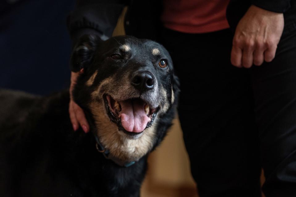 Scout receives affection in a hallway at Meadow Brook Medical Care Facility in Bellaire on Thursday, July 13, 2023.