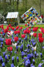 In addition to over 32 hectares of flowers, the spring garden offers 30 inspiring flower shows, seven amazing inspirational gardens and 100 wonderful works of art. (Caters News)
