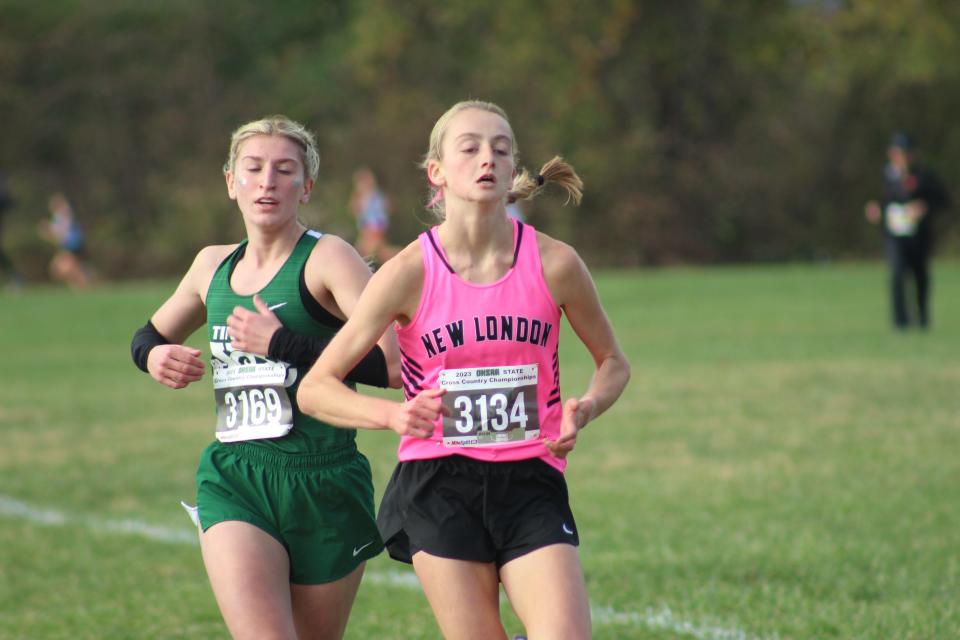 New London's Reese Landis finished fourth at the Division III state cross country meet on Saturday in Columbus.