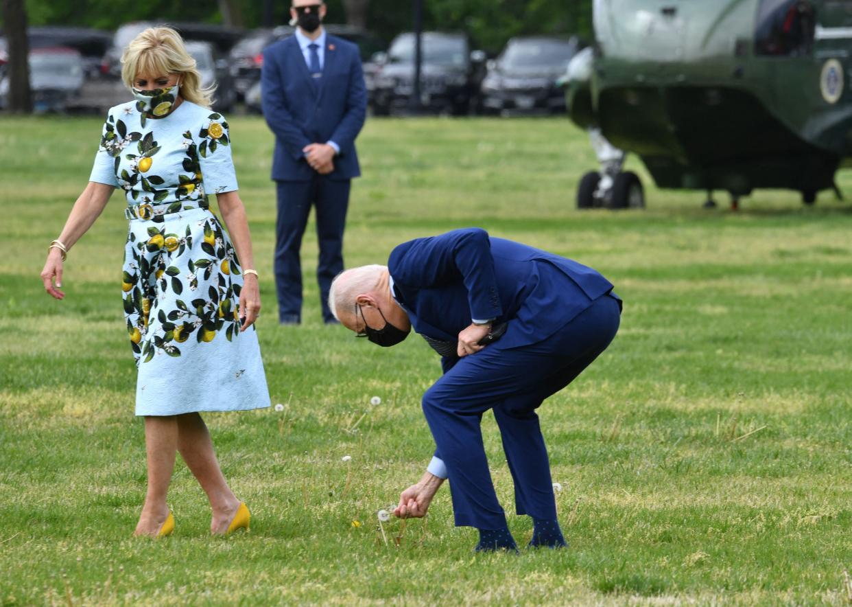 Joe Biden picks a dandelion flower for First Lady Jill Biden (AFP via Getty Images)