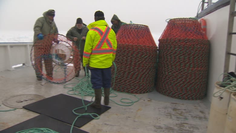 Speak plain English: Scientists can do better job talking to fishermen, MUN prof says