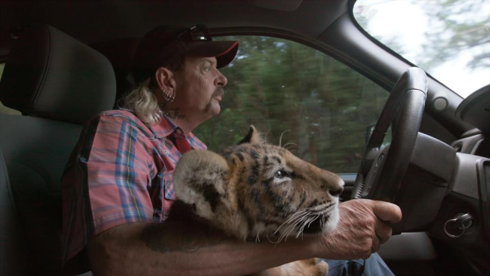 Joe Exotic rides with a tiger in his car in "Tiger King."