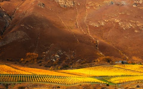 Autumn in Central Otago - Credit: GETTY