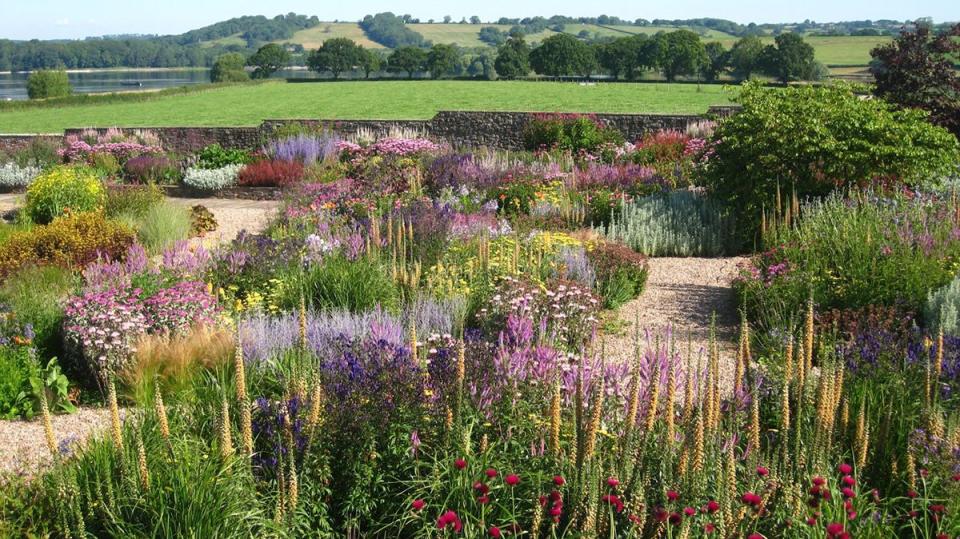 Photo credit: Yeo Valley Organic Farm