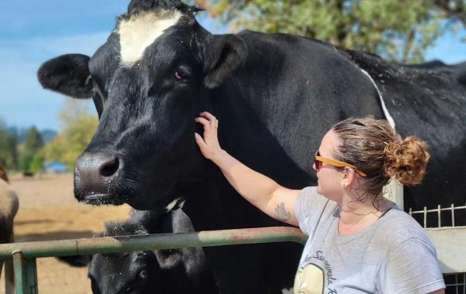 Misty Moore pets Romeo, her 'handsome' bovine, at a sanctuary in Oregon