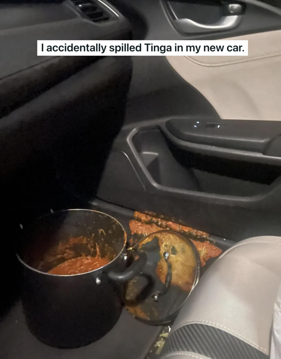 "I accidentally spilled Tinga in my new car"