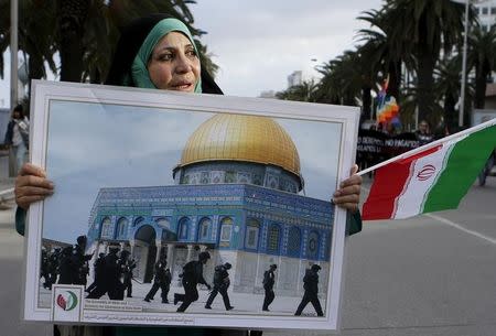 An Iranian woman participant at the World Social Forum holds a poster and the Iranian flag during a march at the end of the 2015 World Social Forum (WSF) in solidarity with Palestinians in Tunis March 28, 2015. REUTERS/Anis Mili