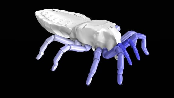 Researchers recently reconstructed the gait of a 410-million-year-old arachnid using a computer graphics program.