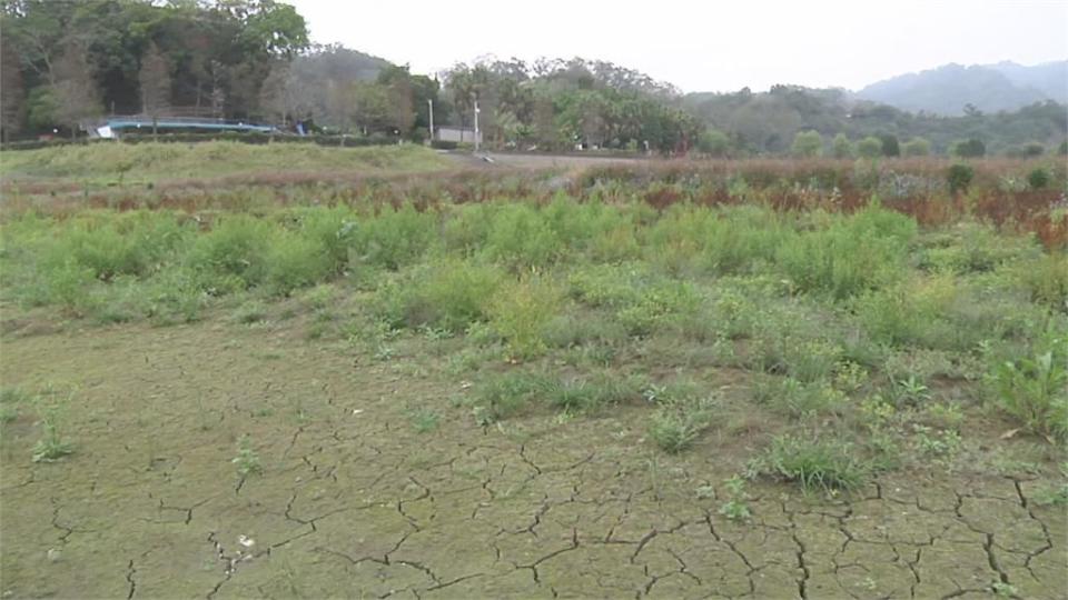 鑿井取水.祈雨挨轟 蘇揆：百年大旱誠心誠意