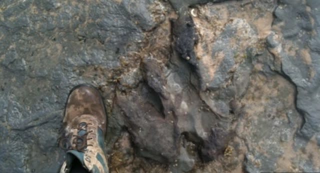 Vandals demolish 115,000,000-year-old dinosaur footprint in Australia