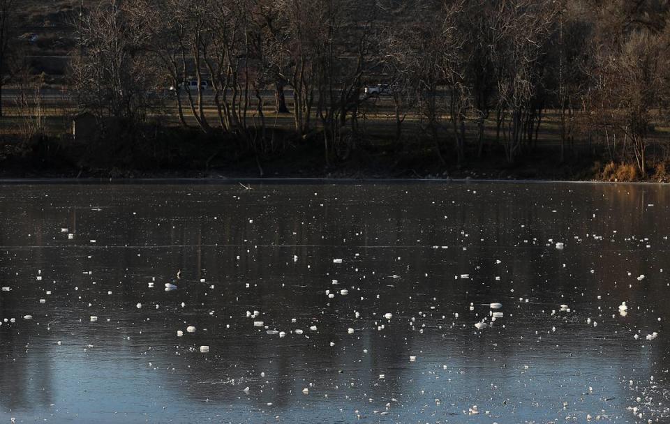 Chunks of ice, apparently thrown by visitors in Columbia Park in Kennewick, sit on the frozen surface of the park’s fishing pond after several days of below freezing temperatures in the Tri-Cities.