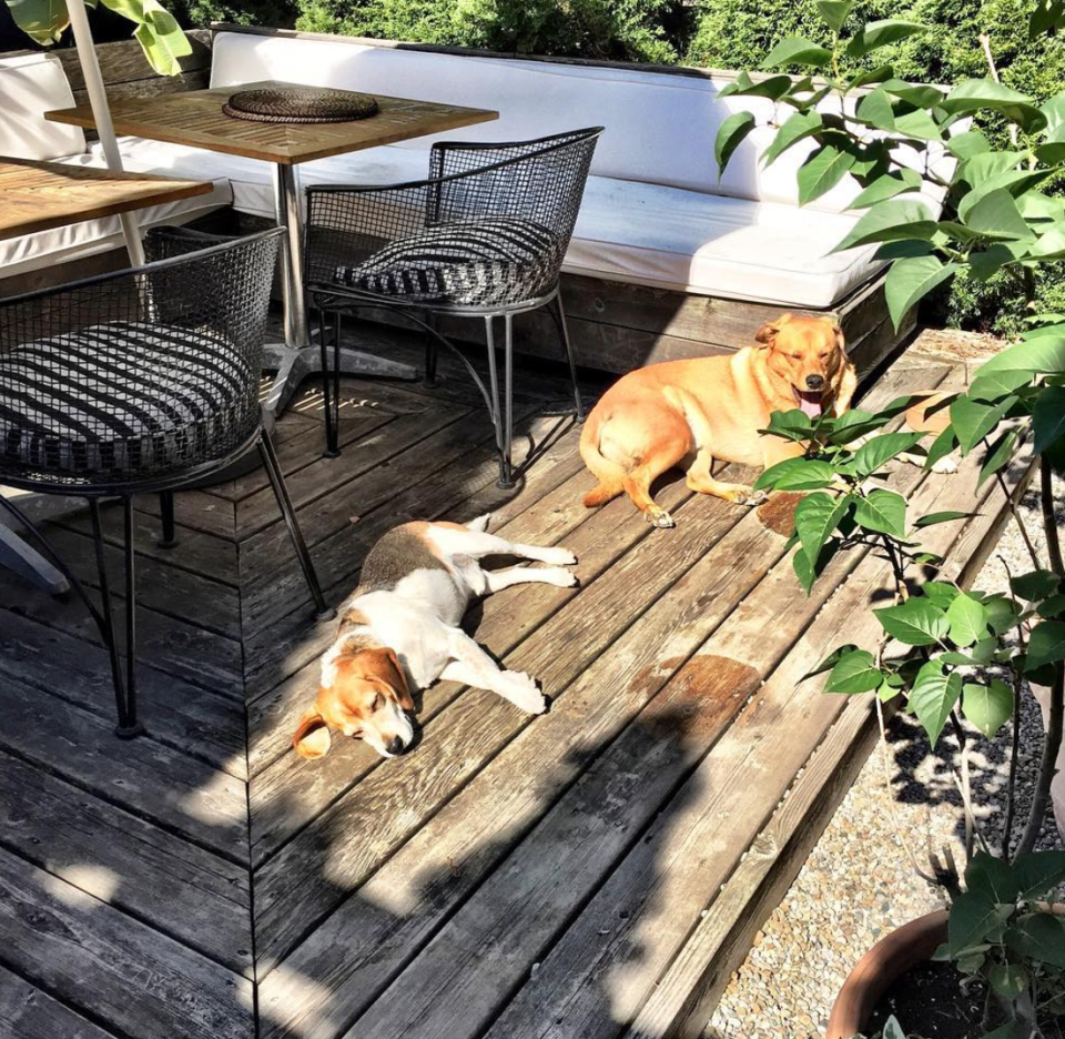 Meghan’s garden features decked seating.