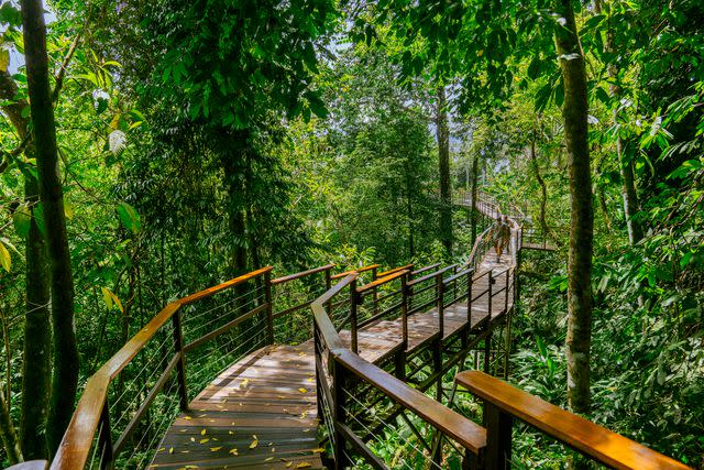 <p>Jake Naughton</p> The rooms at Lapa Rios Lodge are connected by a wooden boardwalk that winds through the forest.