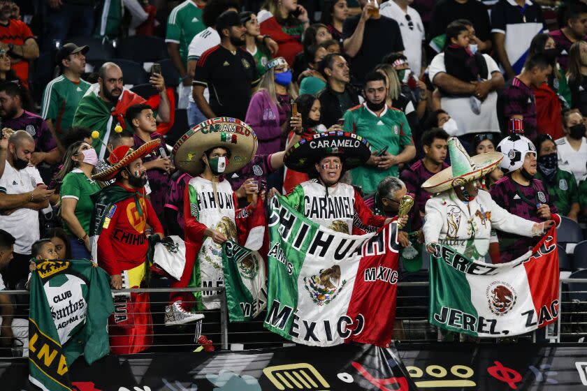 Mexico fans cheer on their team during an international friendly soccer match against Iceland, Saturday, May 29, 2021, in Arlington, Texas. Mexico won 2-1. (AP Photo/Brandon Wade)