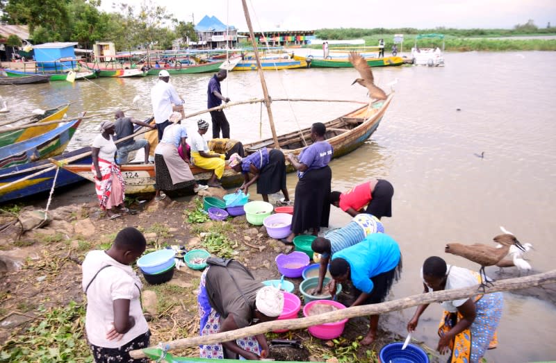 Fishmongers prepare fish at Dunga beach on the shores of Lake Victoria in Kisumu