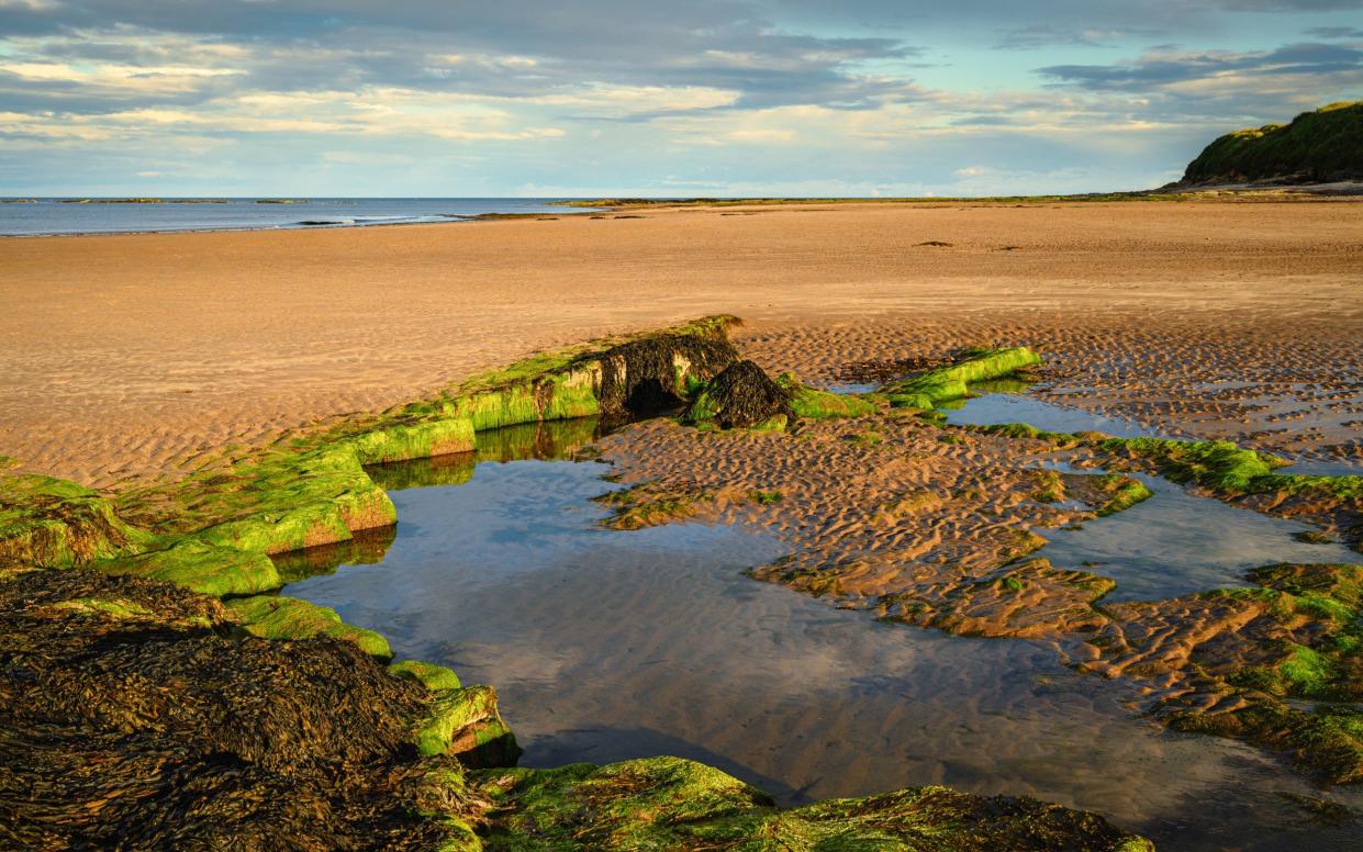 Rock pools on Hauxley Beach, between Amble and Druridge Bay