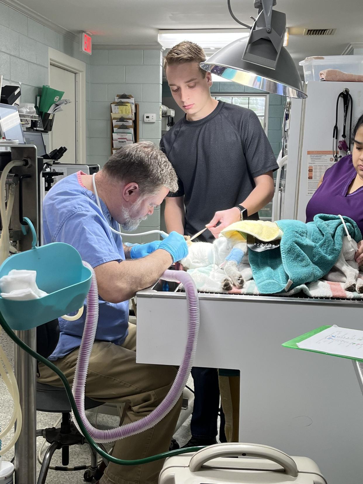 Ian Hunnell, Cleveland County Schools student, recently gained new skills while completing an internship at a veterinarian's office.