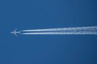 <p>There's nothing like a government poison conspiracy. Many people have hopped on board with theorists who claim an airplane's exhaust trail, caused by low temperatures in high altitudes, is actually <a href="https://www.popularmechanics.com/science/a22328/chemtrails-science/" rel="nofollow noopener" target="_blank" data-ylk="slk:"chemtrails" or chemicals the government;elm:context_link;itc:0;sec:content-canvas" class="link ">"chemtrails" or chemicals the government</a> is trying to secretly spray us with. </p>